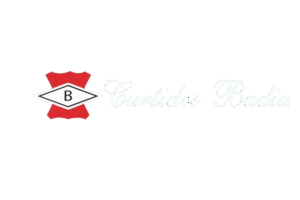 ChatGPT_Image_17_nov_2025__10_31_08-removebg-preview